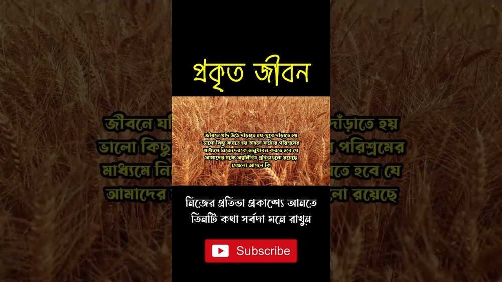 কঠোর পরিশ্রমই আসল প্রতিভা